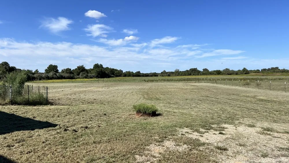 Top-rated residential landscaping for homes across Fort Worth, TX - J&S Lawn&Irrigation