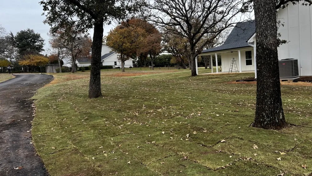 Professional lawn care service experts serving Fort Worth, TX - J&S Lawn&Irrigation