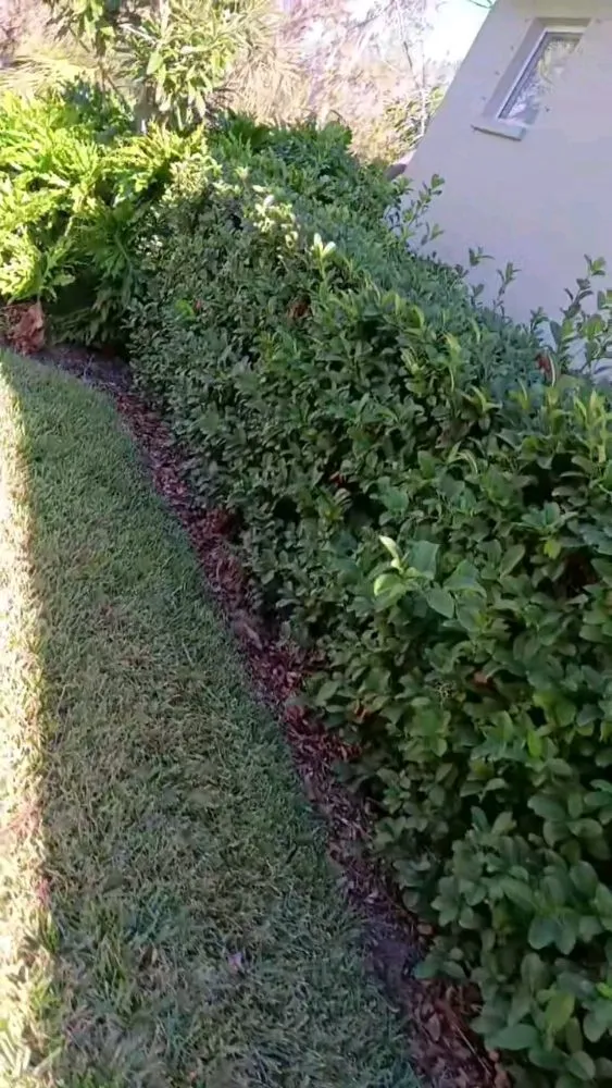 Professional residential landscaping in Palmetto, FL by J's Lawns