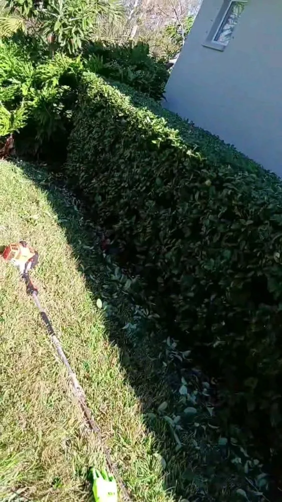 Professional residential landscaping in Palmetto, FL - J's Lawns