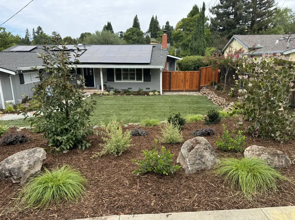 Professional lawn care service experts serving Clayton, CA - J'S Modern Landscaping.