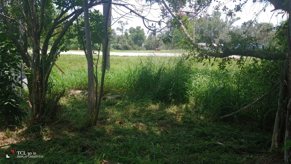 Affordable yard maintenance in Lehigh Acres, FL - J's Mow And Grow