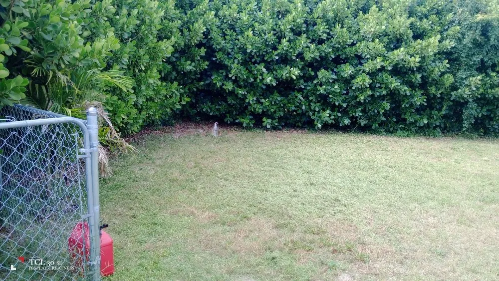 Custom lawn care service in Lehigh Acres, FL - J's Mow And Grow