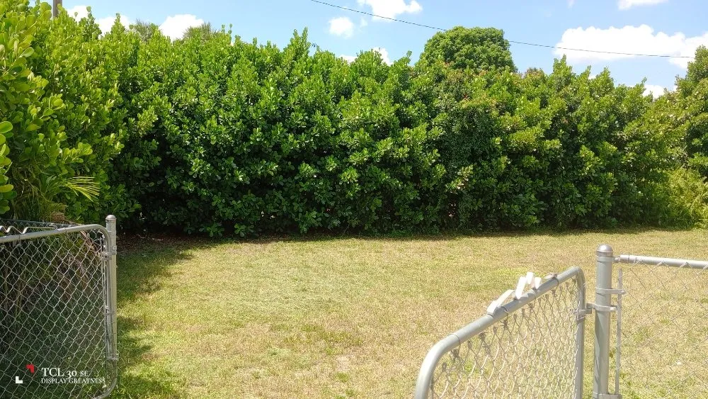 Custom residential landscaping with custom design in Lehigh Acres, FL by J's Mow And Grow