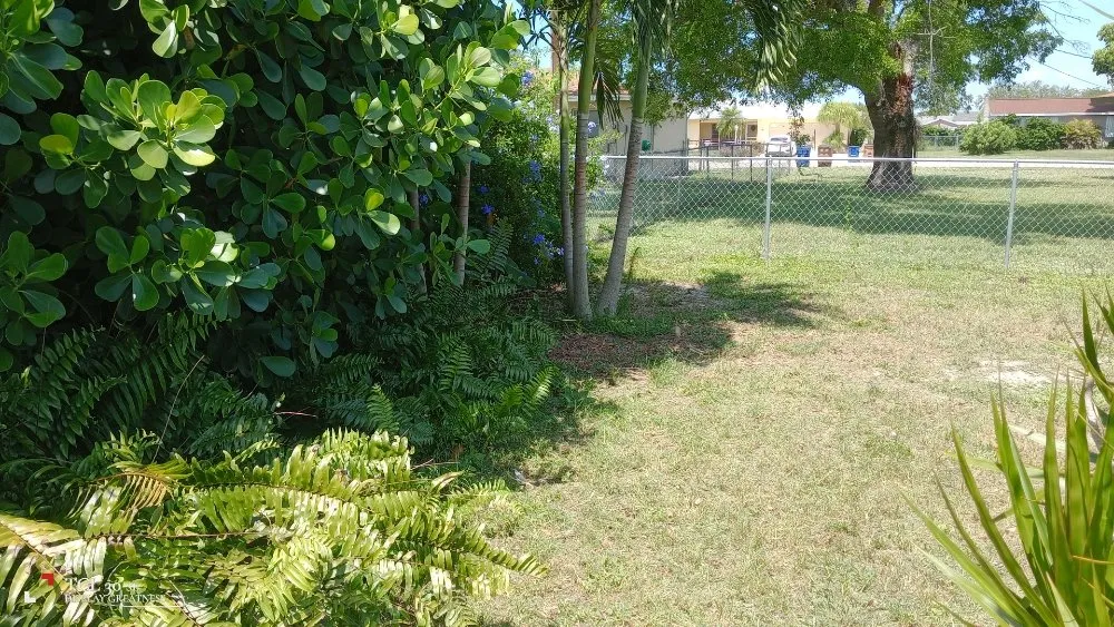 Expert outdoor landscaping with custom design across Lehigh Acres, FL - J's Mow And Grow