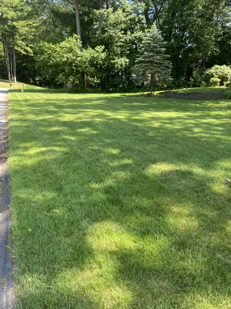 Custom lawn mowing service experts serving Albany, NY - J's Mowing