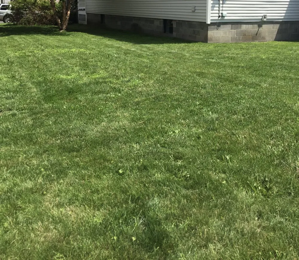 Expert landscaping services near you in Albany, NY by J's Mowing