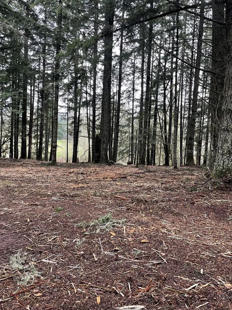 Affordable landscape design for beautiful yards across Lebanon, OR - JS Mulching