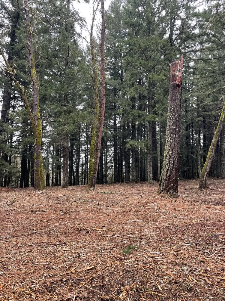 Trusted garden landscaping in Lebanon, OR - JS Mulching