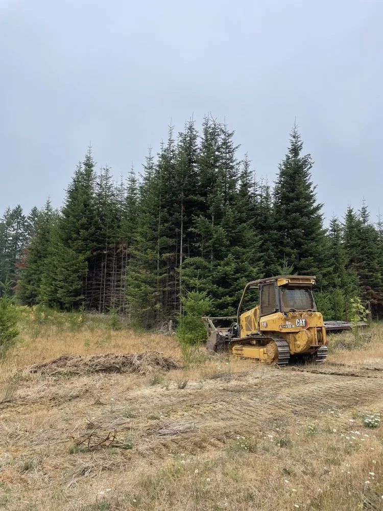 Top-rated landscaping services in Lebanon, OR by JS Mulching