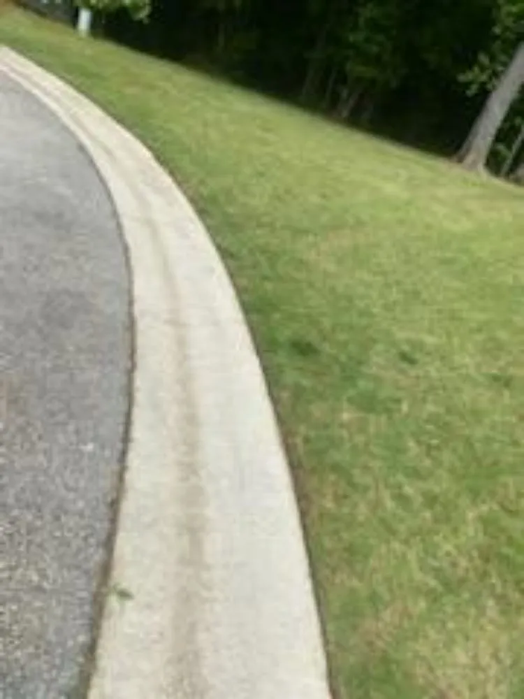 Top-rated yard cleanup service in Temple, GA - JS Precision Lawn