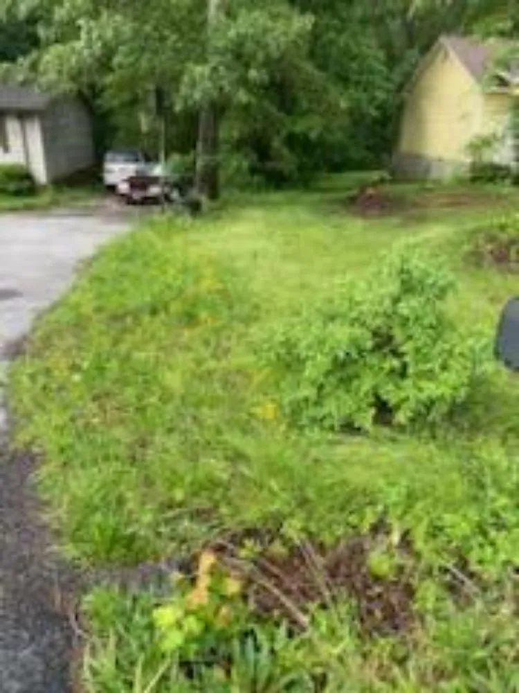 Reliable residential landscaping in Temple, GA - JS Precision Lawn