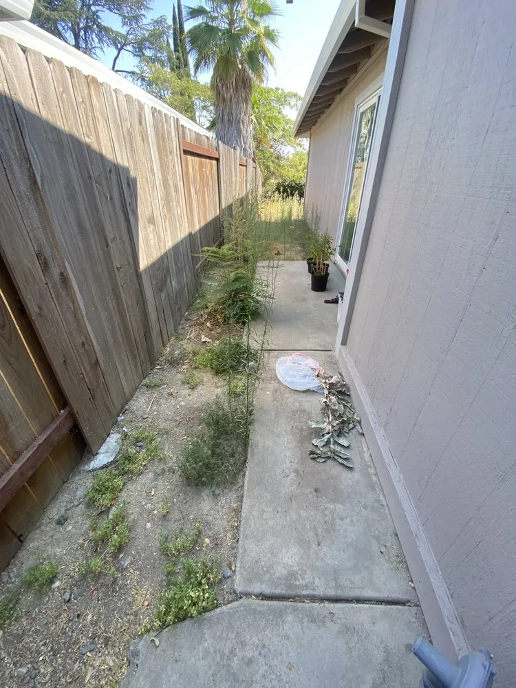 Affordable lawn mowing service in Foothill Farms, CA - J’S Pro Landscaping