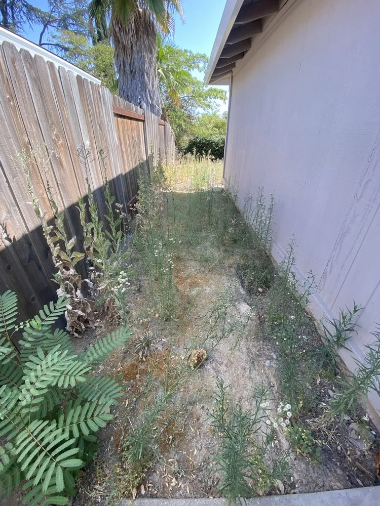 Trusted lawn care service in Foothill Farms, CA by J’S Pro Landscaping