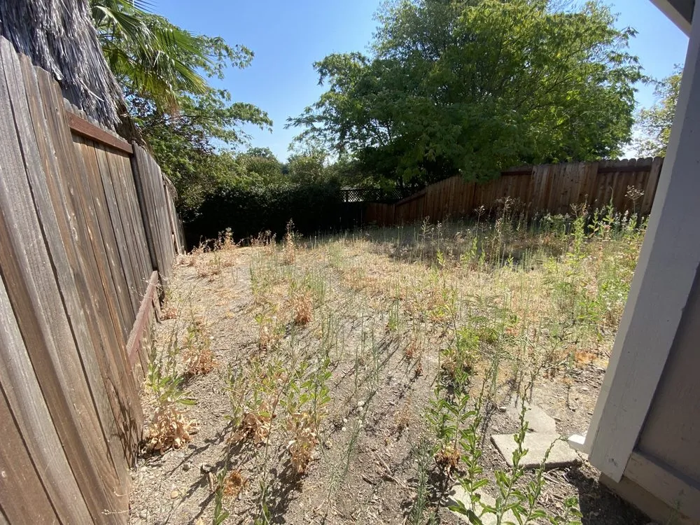 Professional garden landscaping near you in Foothill Farms, CA by J’S Pro Landscaping