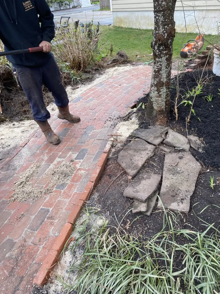 Professional yard cleanup service with custom design in Cape May, NJ by JS Property Management and Landscaping