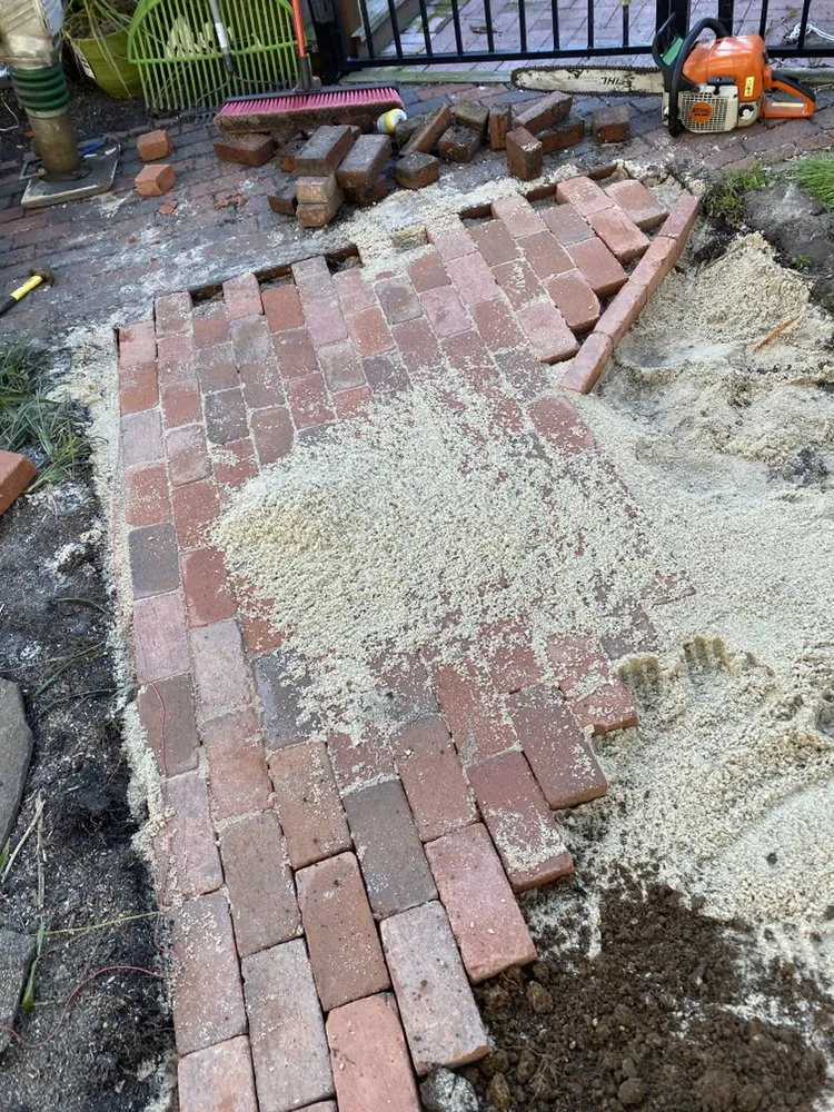 Professional yard maintenance in Cape May, NJ - JS Property Management and Landscaping