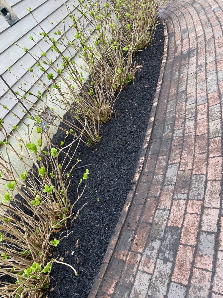 Reliable yard cleanup service for outdoor upgrades across Cape May, NJ - JS Property Management and Landscaping