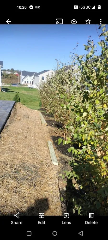 Local outdoor landscaping for residential properties across Audubon, PA - J&S Property Solutions