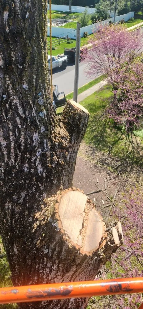 Reliable landscaping services in Audubon, PA by J&S Property Solutions