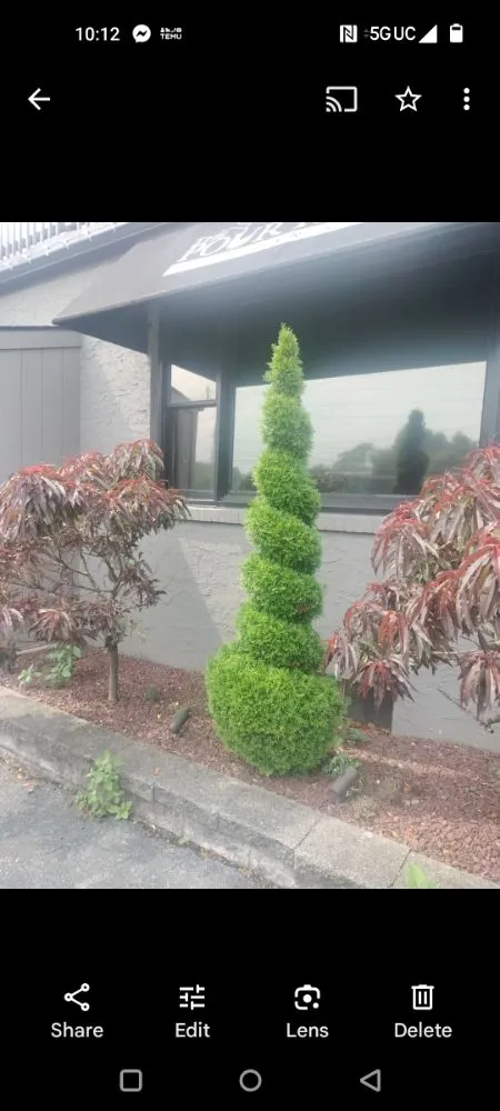 Affordable lawn mowing service experts serving Audubon, PA - J&S Property Solutions