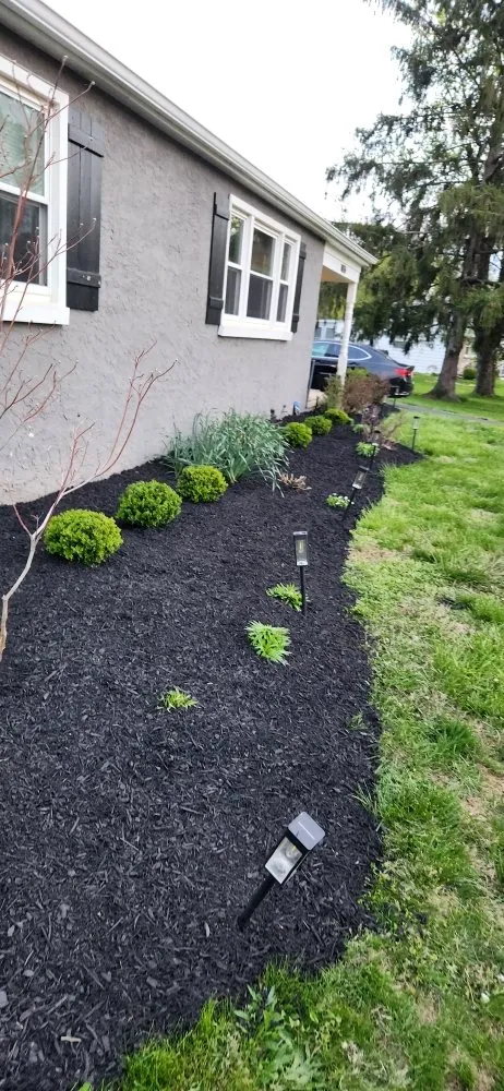 Reliable yard cleanup service experts serving Audubon, PA - J&S Property Solutions