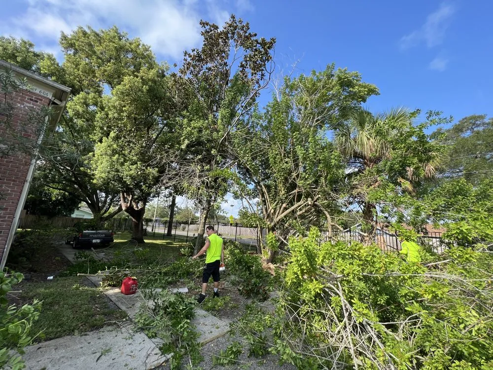 Reliable landscaping services experts serving Aloma, FL - J’s Quality Lawn Care