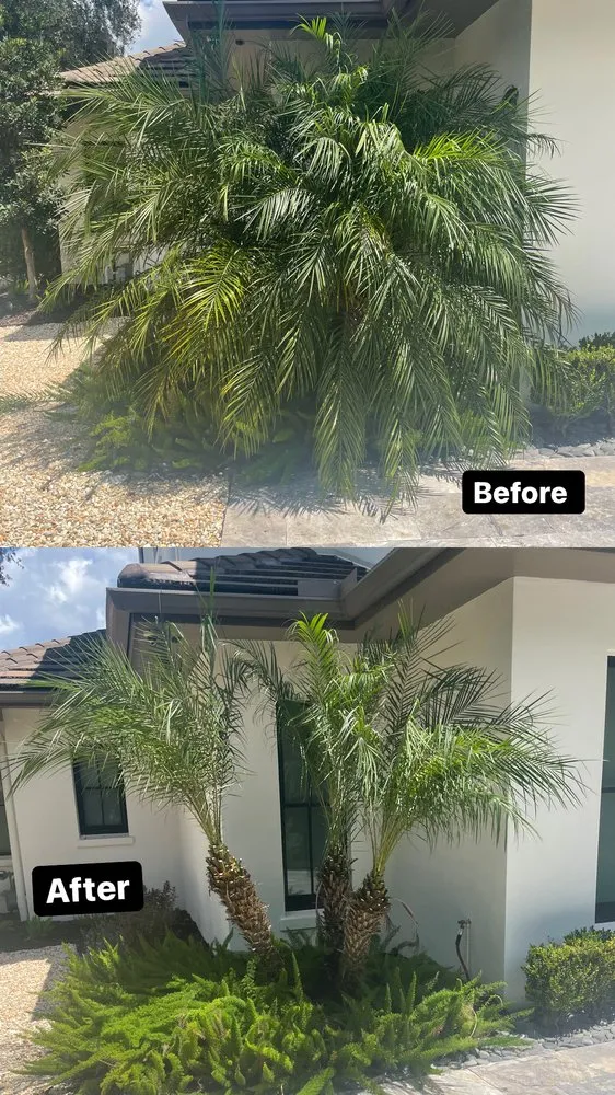 Professional yard maintenance in Aloma, FL - J’s Quality Lawn Care