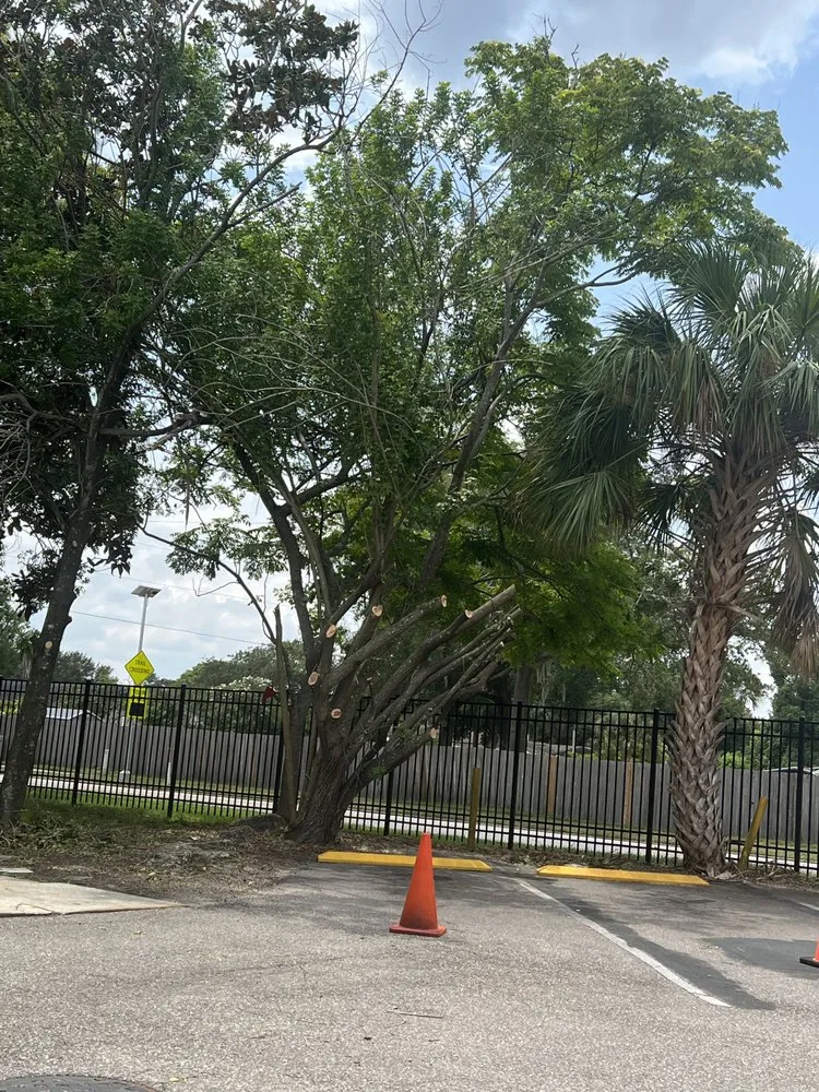 Top-rated yard maintenance for beautiful yards in Aloma, FL by J’s Quality Lawn Care