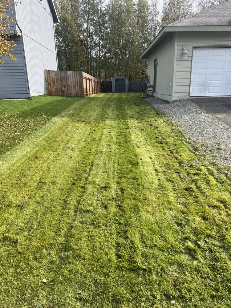 Professional lawn care service for beautiful yards across Anchorage, AK - JS Snow Plowing