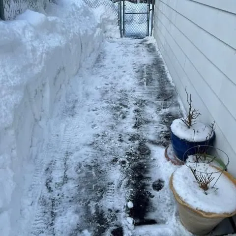 Reliable yard maintenance for beautiful yards in Anchorage, AK by JS Snow Plowing