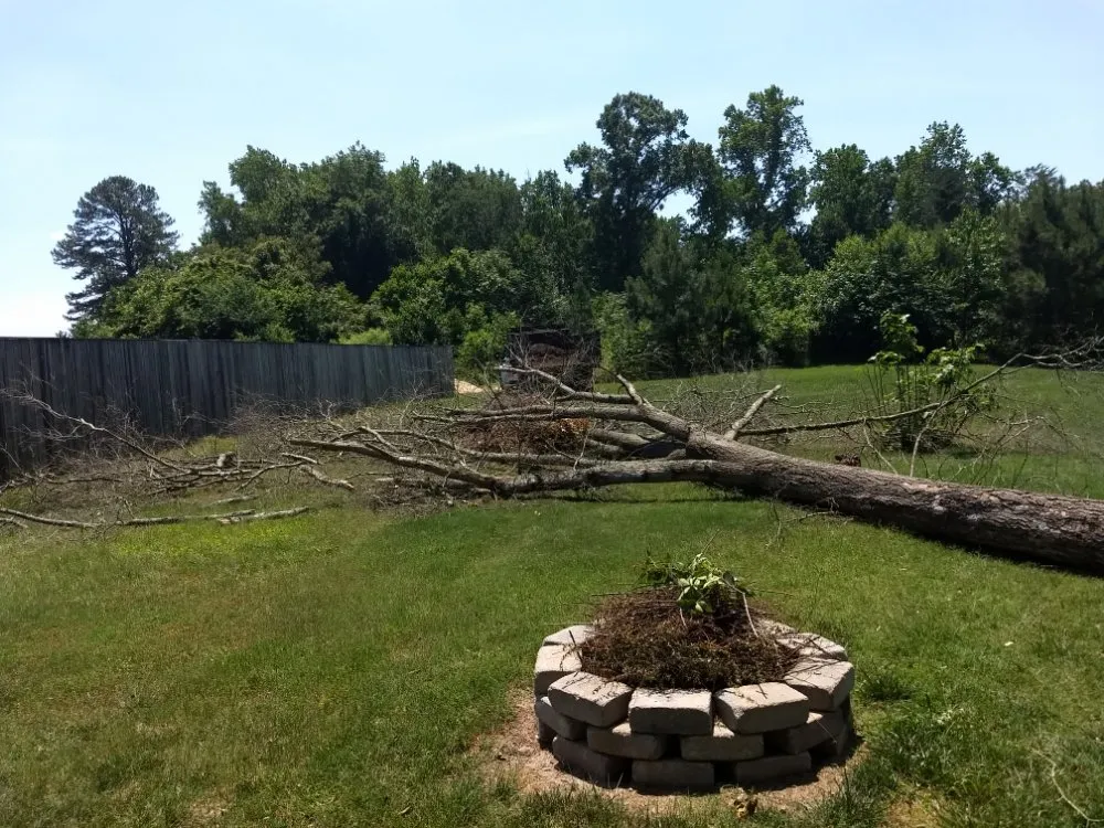 Top-rated landscaping services for year-round maintenance across Midlothian, VA - JS Thomas Landscaping