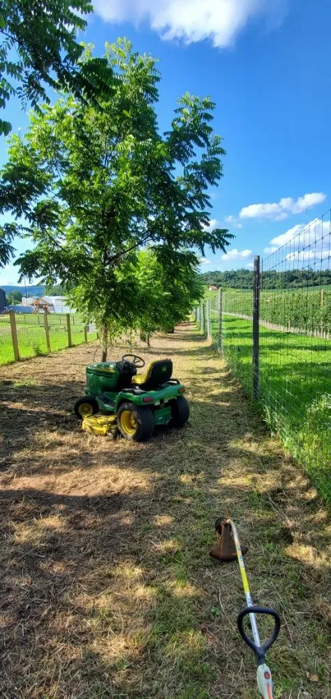 Local landscaping services in Galesville, WI by J's Tractor Services