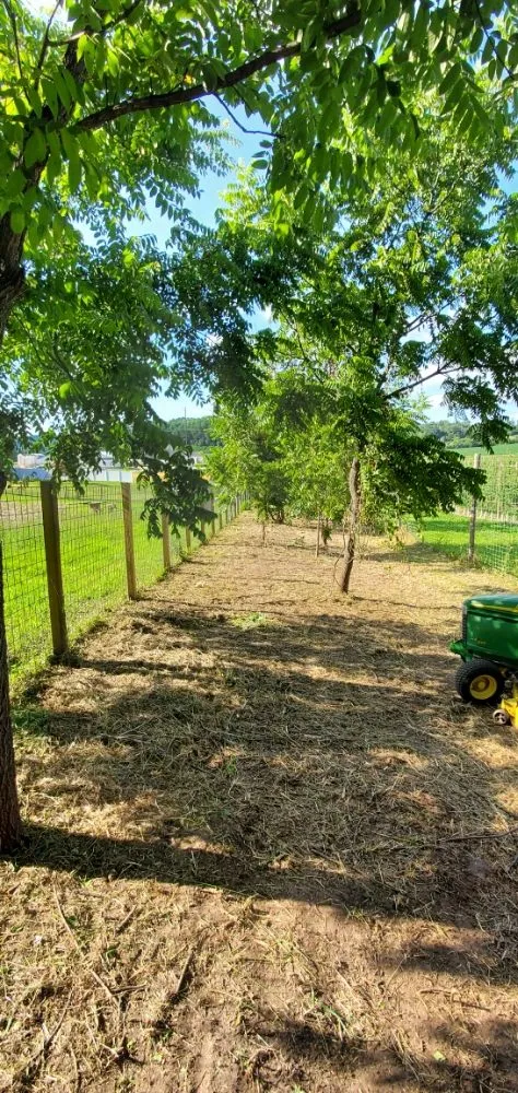 Affordable residential landscaping with custom design across Galesville, WI - J's Tractor Services