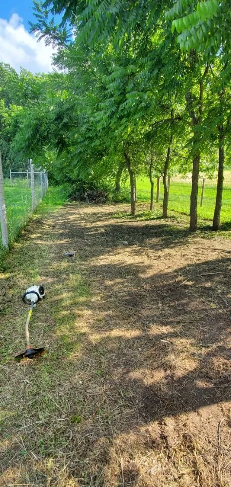 Custom yard cleanup service in Galesville, WI by J's Tractor Services