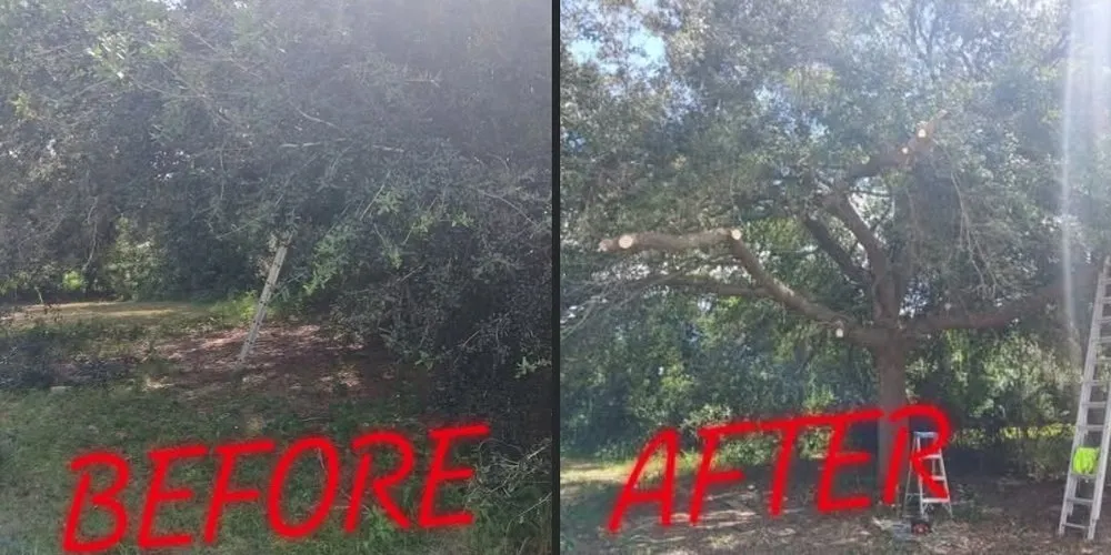 Custom lawn mowing service for beautiful yards across Cocoa, FL - J's Tree & Lawn