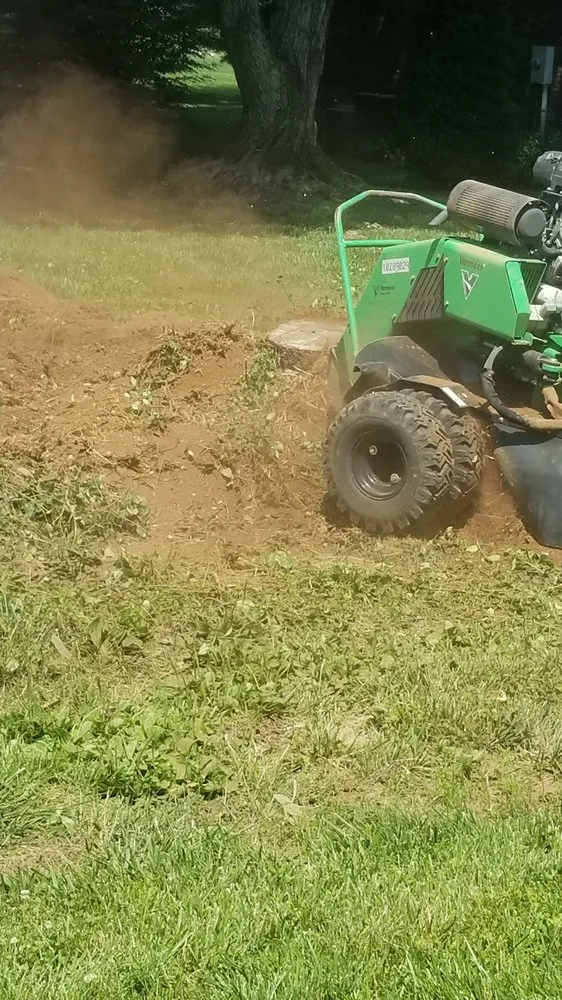 Affordable landscape design experts serving Fountain Run, KY - J&S Tree and Stump Removal