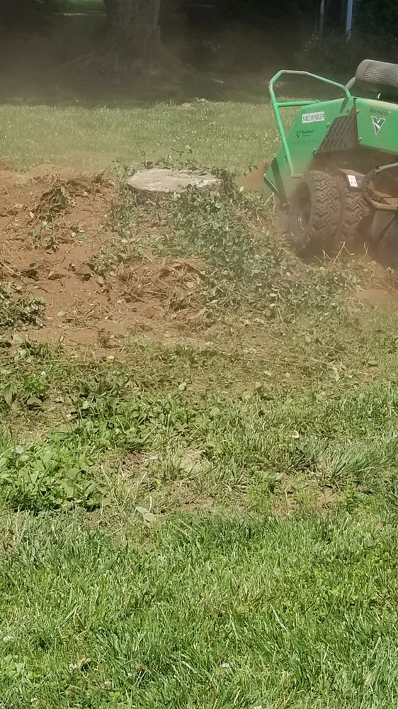 Professional outdoor landscaping in Fountain Run, KY - J&S Tree and Stump Removal