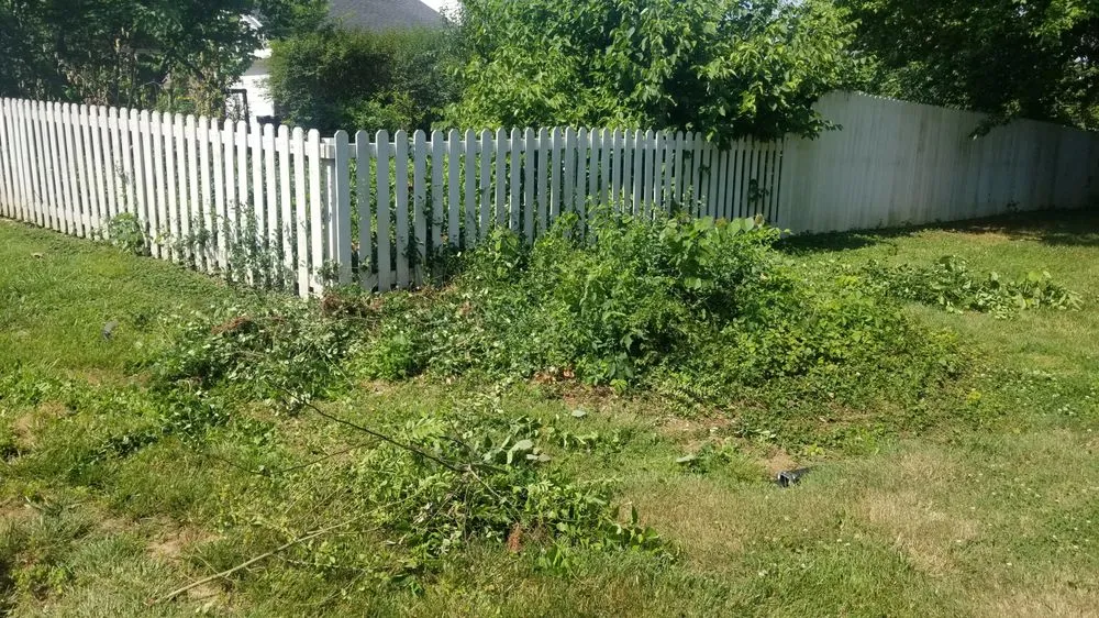 Custom landscape design in Fountain Run, KY - J&S Tree and Stump Removal