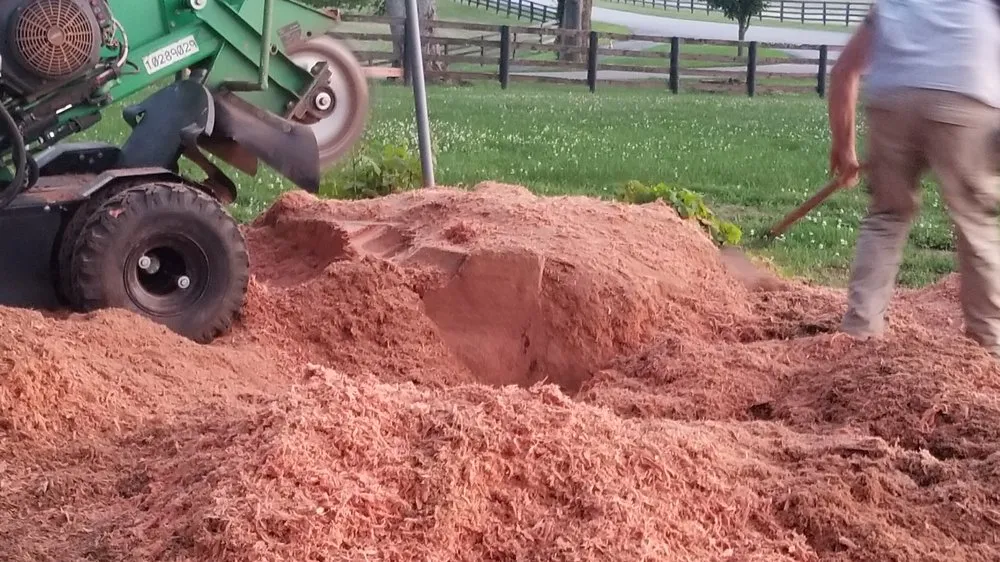Expert landscaping services in Fountain Run, KY by J&S Tree and Stump Removal