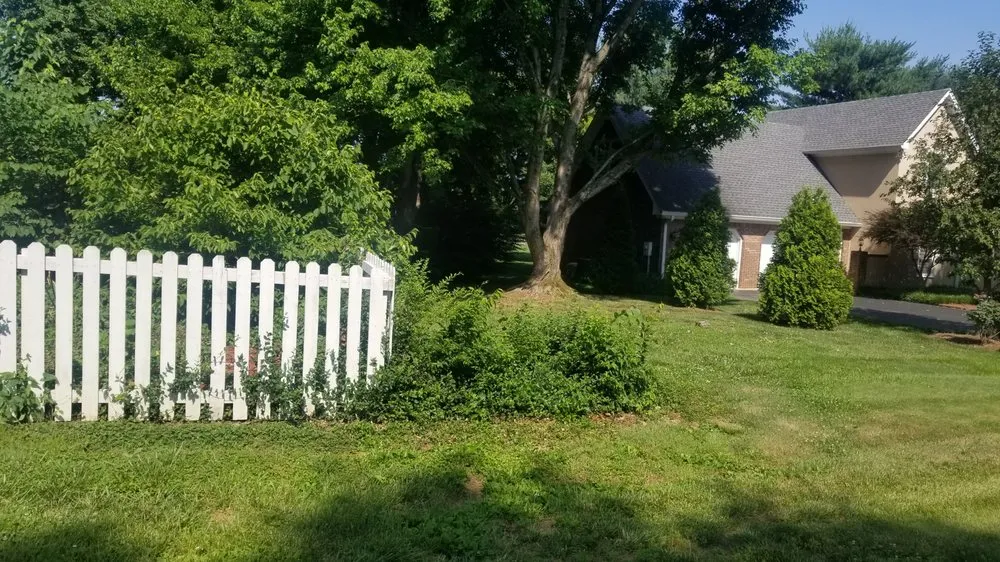 Expert landscape design experts serving Fountain Run, KY - J&S Tree and Stump Removal