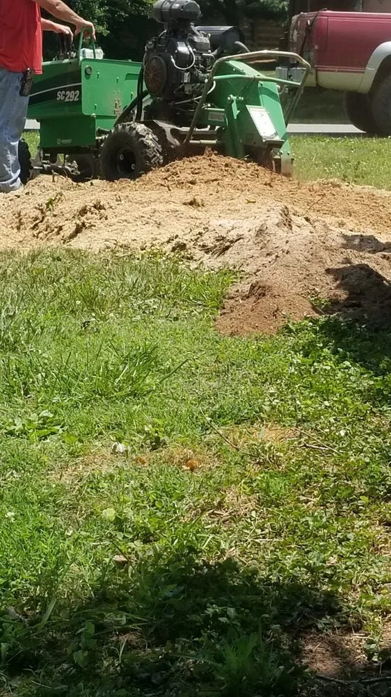 Professional landscape installation for residential properties across Fountain Run, KY - J&S Tree and Stump Removal