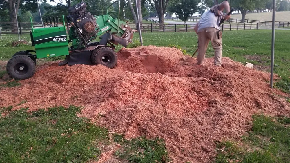 Top-rated lawn care service with custom design in Fountain Run, KY by J&S Tree and Stump Removal