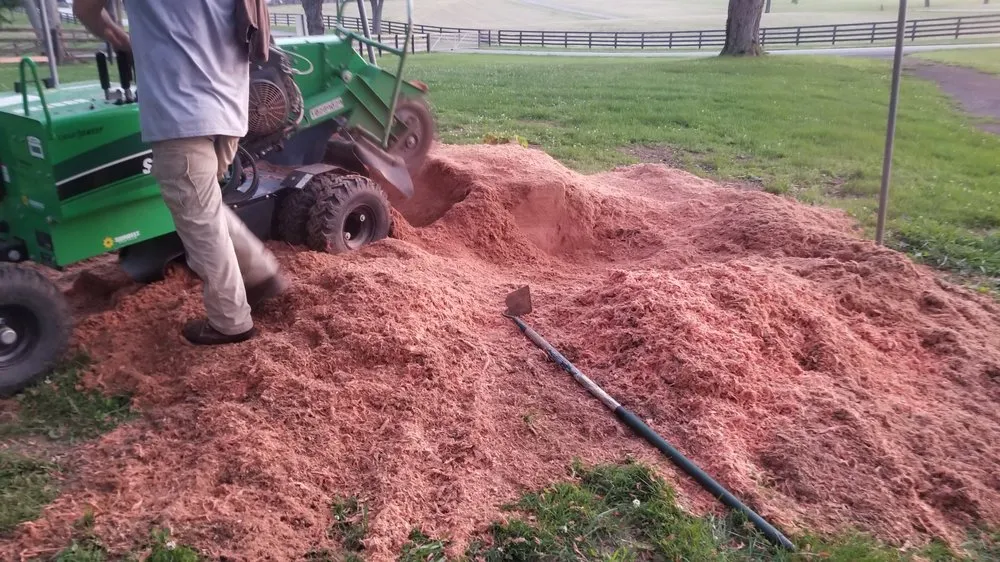 Trusted garden landscaping in Fountain Run, KY - J&S Tree and Stump Removal