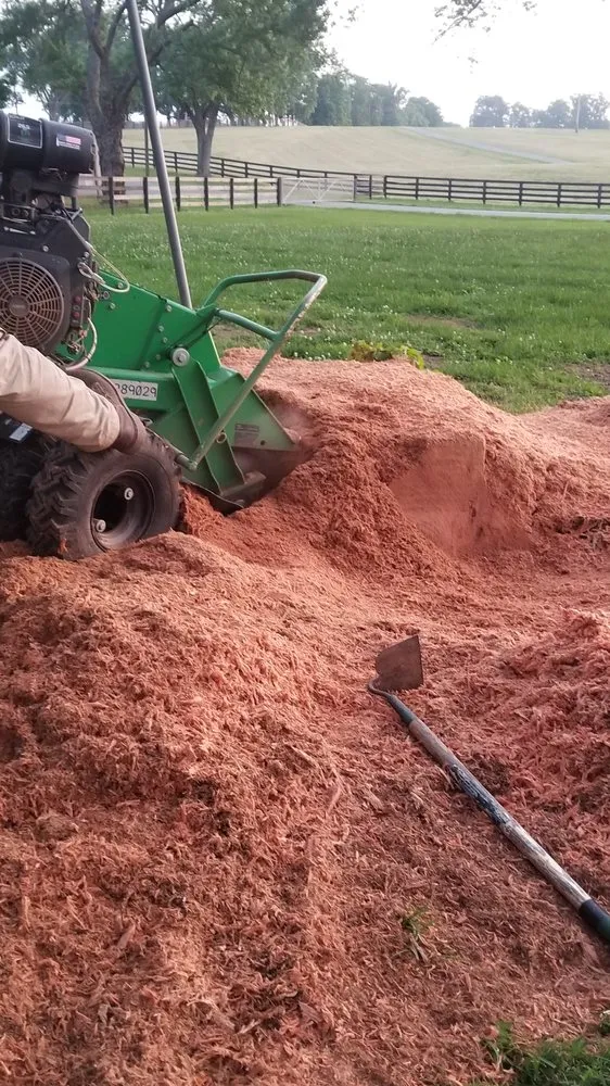 Top-rated residential landscaping in Fountain Run, KY - J&S Tree and Stump Removal
