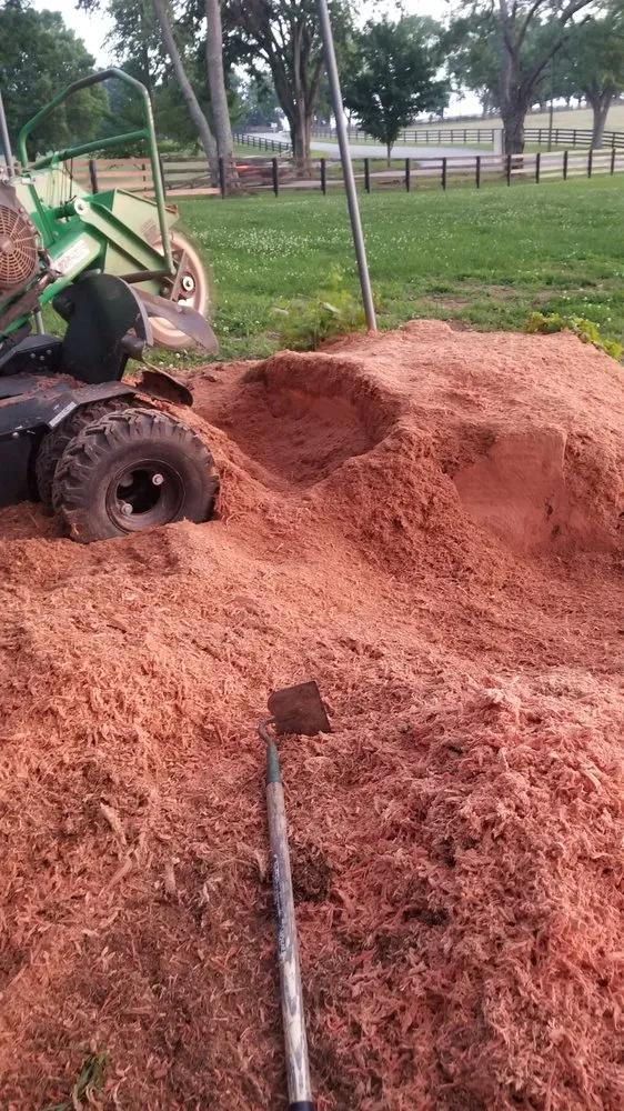 Expert garden landscaping experts serving Fountain Run, KY - J&S Tree and Stump Removal