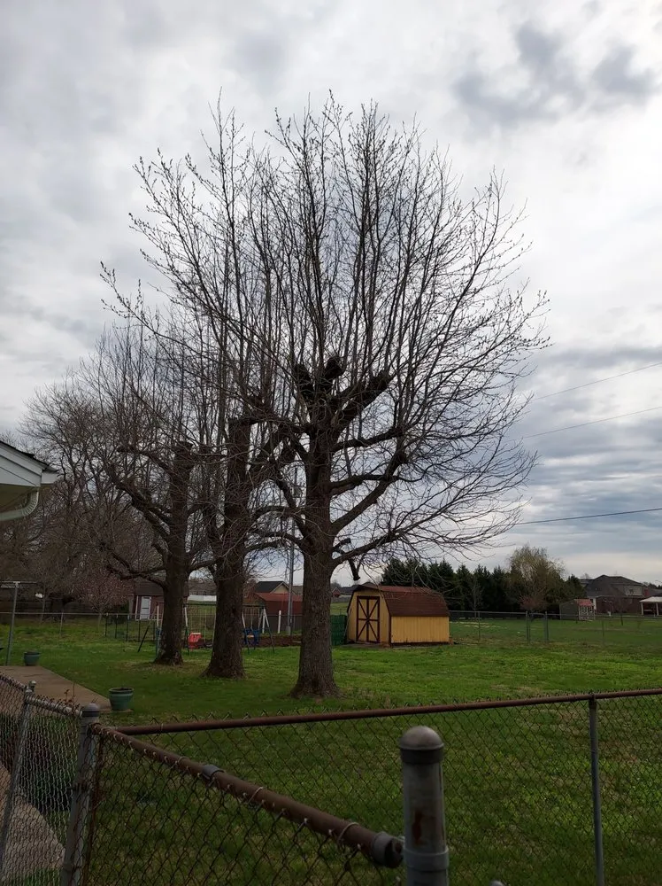 Top-rated lawn mowing service in Fountain Run, KY - J&S Tree and Stump Removal