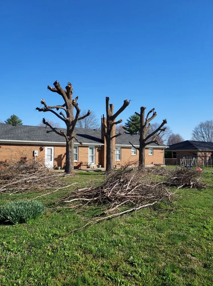 Trusted yard maintenance for residential properties in Fountain Run, KY by J&S Tree and Stump Removal