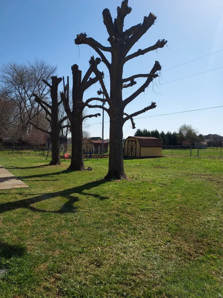 Professional residential landscaping with custom design in Fountain Run, KY by J&S Tree and Stump Removal