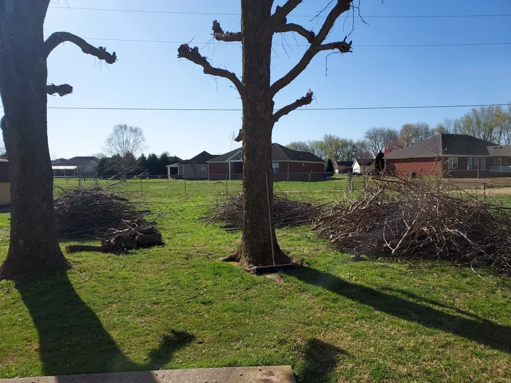 Local lawn mowing service for year-round maintenance in Fountain Run, KY by J&S Tree and Stump Removal